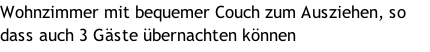 Wohnzimmer mit bequemer Couch zum Ausziehen, so dass auch 3 Gäste übernachten können