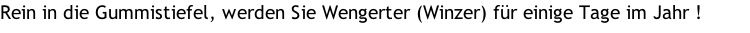 Rein in die Gummistiefel, werden Sie Wengerter (Winzer) für einige Tage im Jahr !