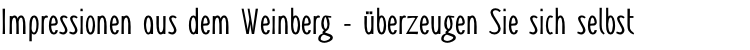 Impressionen aus dem Weinberg - überzeugen Sie sich selbst